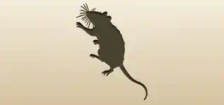 ネズミのシルエット