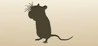 ネズミのシルエット