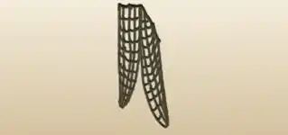 網のシルエット