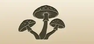 Fly Agarics