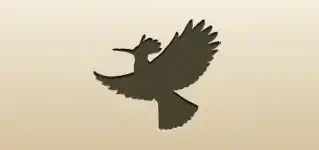 Hoopoe silhouette