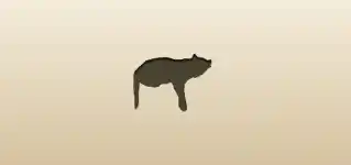 Tiger silhouette
