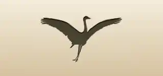 Crane silhouette