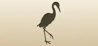Crane silhouette