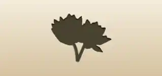 Lotuses silhouette