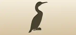 Cormorant silhouette