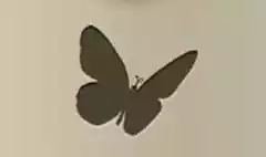 ちょうちょう