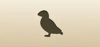 Puffin silhouette