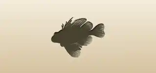 Lionfish silhouette