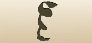 Shawl silhouette