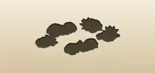 Lotuses silhouette