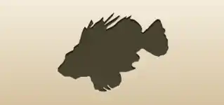 Lionfish silhouette