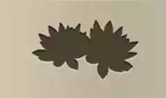 Lotuses