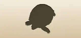 Turtle silhouette