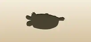 Turtle silhouette