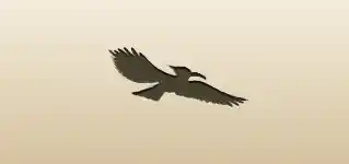 Hoopoe silhouette