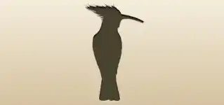 Hoopoe silhouette