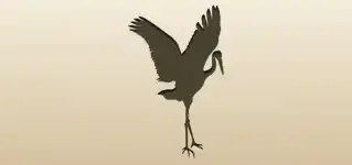Crane silhouette