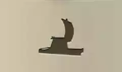 Sailing Raft