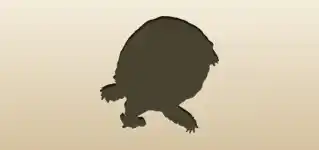 Turtle silhouette
