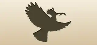 Hoopoe silhouette