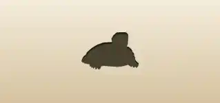 Turtle silhouette