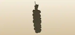 Garlic silhouette