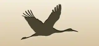 Crane silhouette