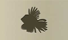 Lionfish silhouette