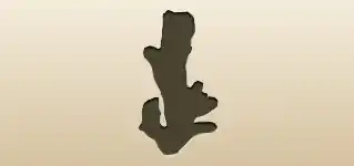 Ginger Root silhouette