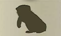 Dog silhouette