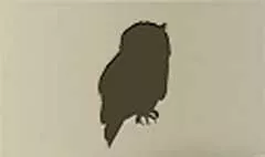 Owl silhouette