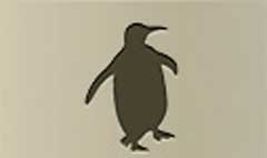 Penguin silhouette