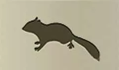 Chipmunk silhouette