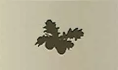 Acorns silhouette