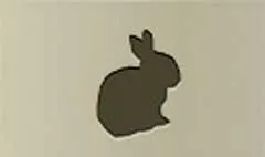 Hare silhouette