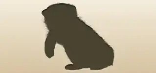 イヌのシルエット