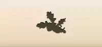 Acorns silhouette