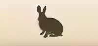 Hare silhouette