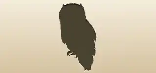 フクロウのシルエット