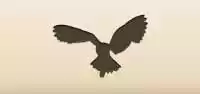Owl silhouette