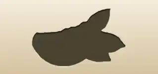 オレンジのシルエット