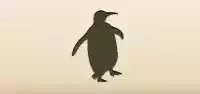 Penguin silhouette
