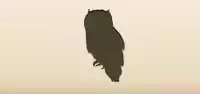 Owl silhouette