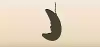 Moon silhouette