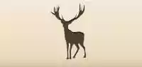 Deer silhouette
