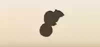 Chipmunk silhouette