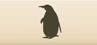 Penguin silhouette