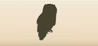 Owl silhouette