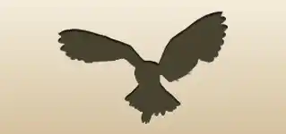 フクロウのシルエット